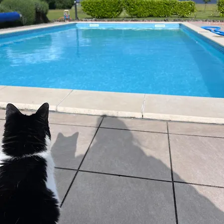 Holiday home Les De Yanaely - L'ibie